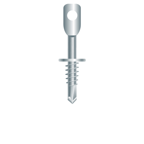 A silver screw with a hole in the center.